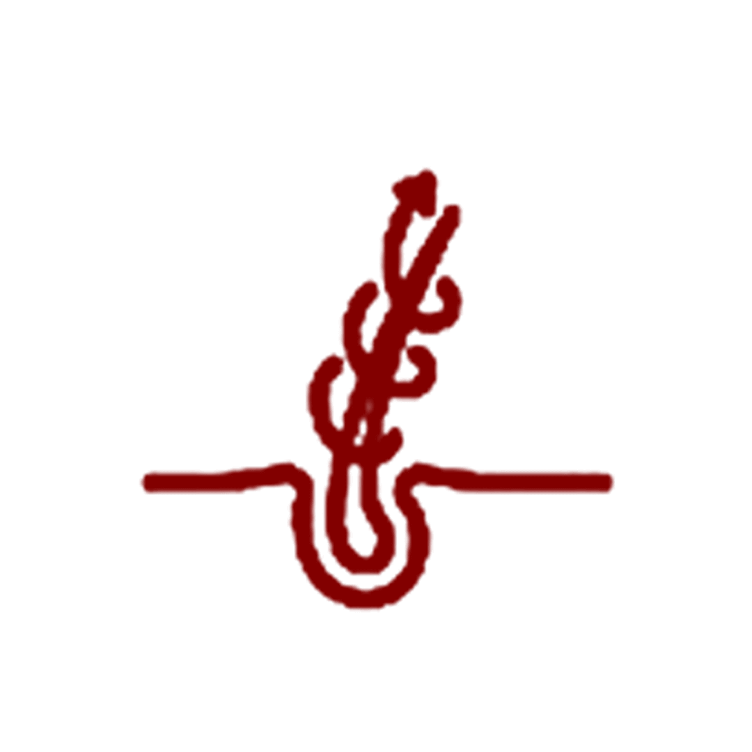 Image Title My Image