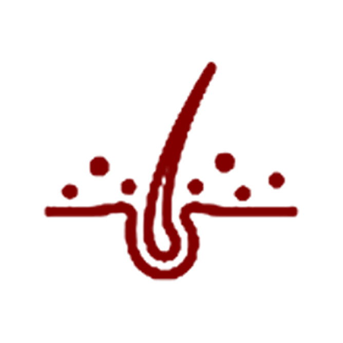 Image Title My Image