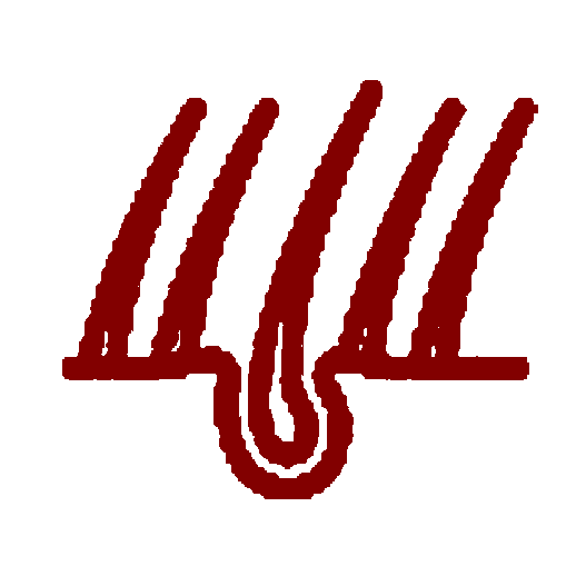 Image Title My Image