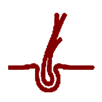 Image Title My Image